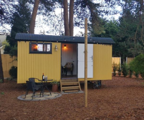 Forest Heath Shepherd's Hut